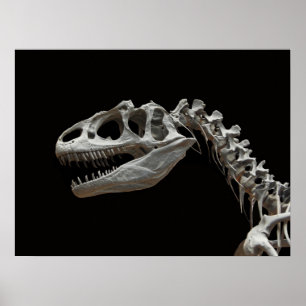 Fossil allosaurus hoofd en hals poster