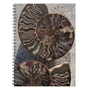 Fossil Ammonite-laptop Notitieboek