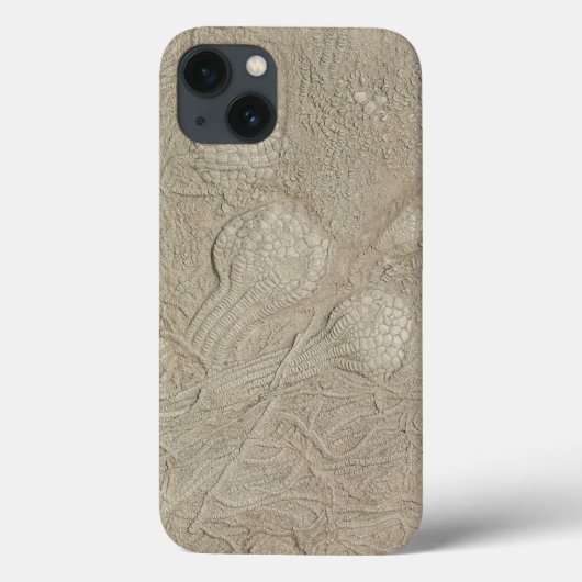 Fossil Collectie kwal Case-Mate iPhone Case (Achterkant)