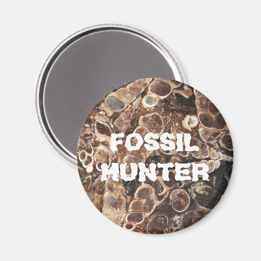 Fossil Hunter Turritella Agate Afbeelding Magneet (Voorkant / Achterkant)