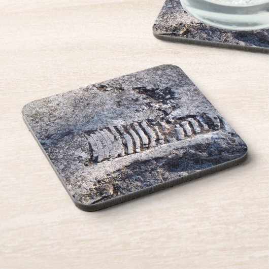 Fossil Nautiloid Cephalopod Ancient Zee Mollusk Bier Onderzetter (Linkerzijde)
