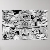 Fossil Poster (Voorkant)