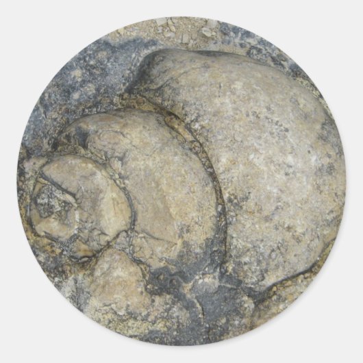Fossil Ronde Sticker (Voorkant)