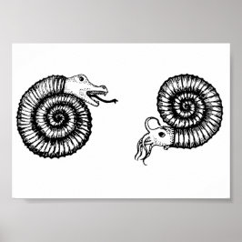 Fossil: Snakestone of Ammonite? Poster
