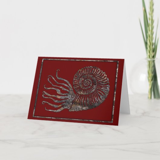 Fossile d'ammonite Talking Canyons, carte du Nouve (Devant)