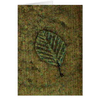 Fossile de feuille iridescent