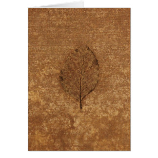 Fossile de feuille marron