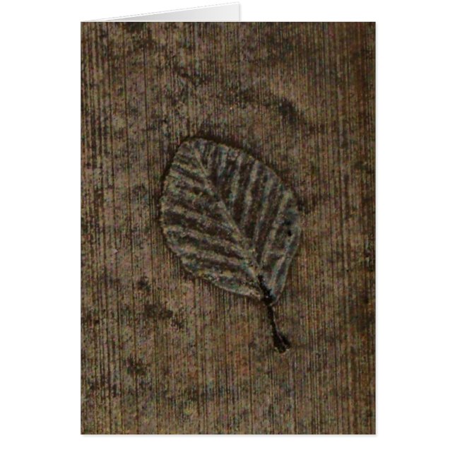 Fossile de feuille marron (Devant)