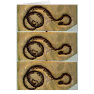 Fossile de serpent CB