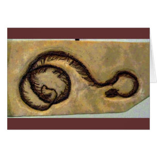 Fossile de serpent CB