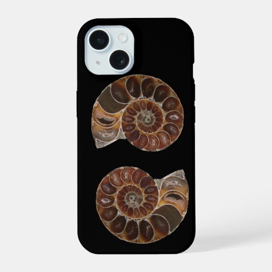 Fossiles ammonites (Verso)