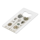 fossiles, dinosaures, fossiles, paléontologie, géo (Dos Angle)