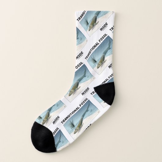 Fossiles transitoires à l'intérieur de Tiktaalik r (Gauche - extérieur)