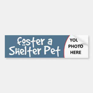 Foster a Shelter Pet  Bumpersticker