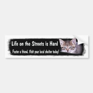 Foster Pets Bumpersticker