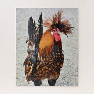 Foto 136 Rooster Legpuzzel