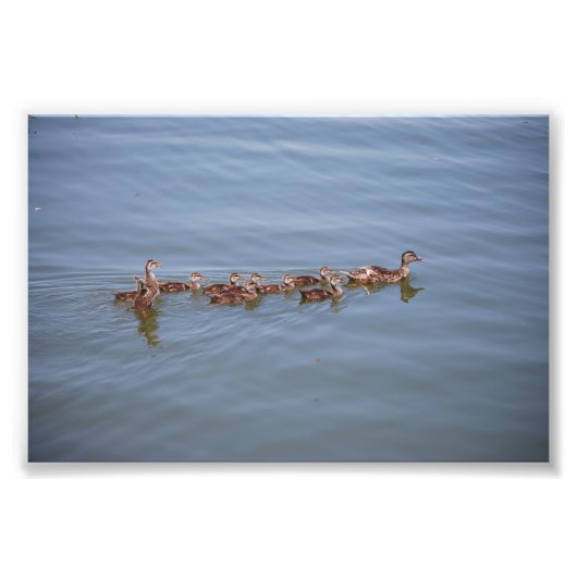 Foto 6x4 Kodak Paper Afdruk (Voorkant)