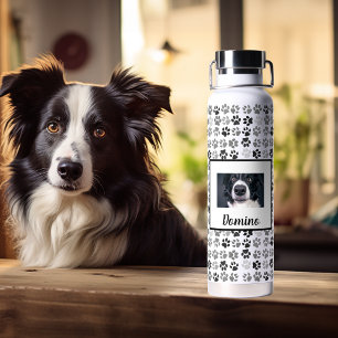 Foto Aangepaste Hond Kat Huisdier Naam Monogram Kl Waterfles