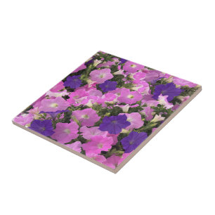 Foto afbeelding van Morning Glory Roze & Paarse Bl Tegeltje