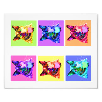 Foto afdrukken 8 x 10-inch regenboog/wit kattenpor afdruk