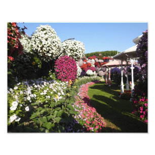 Foto afdrukken met Petunias Afdruk