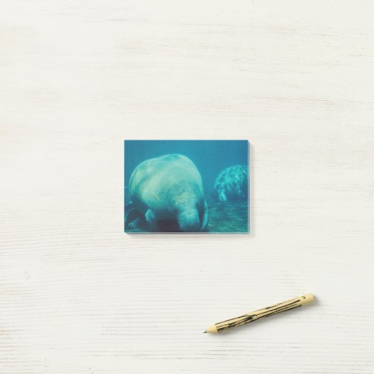 Foto beheren post-it® notes (Op bureau)