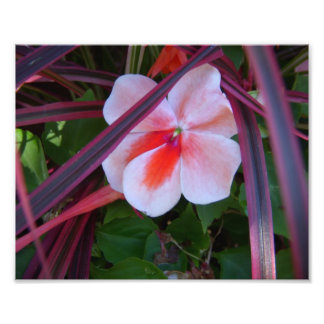 Foto bloemen afdruk