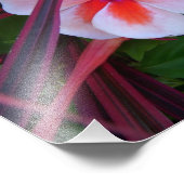 Foto bloemen foto afdruk (Hoek)