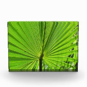 Foto Blok - Palmblad (Voorkant)