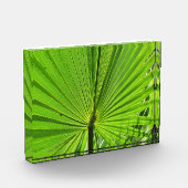 Foto Blok - Palmblad (Links)