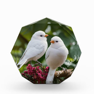 Foto Blokkeren