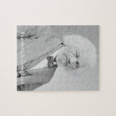  foto boven de litionist Frederick Douglass Legpuzzel (Horizontaal)
