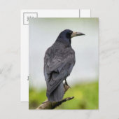  Foto Briefkaart (Voorkant / Achterkant)