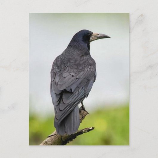  Foto Briefkaart (Voorkant)