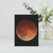  Foto Briefkaart (Staand voorkant)