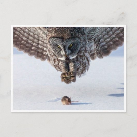  Foto Briefkaart (Voorkant)