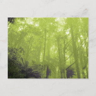 Foto briefkaart "De geest in de bomen"