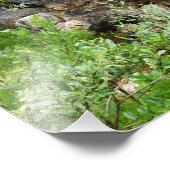 Foto brook Babbling Afdruk (Hoek)