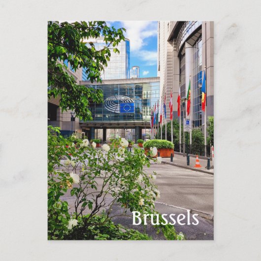foto Brussel België Briefkaart (Voorkant)