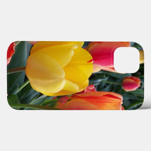Foto Case-Mate iPhone Case (Achterkant (horizontaal))