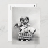 Foto  chien briefkaart (Voorkant / Achterkant)