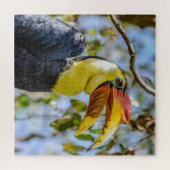 Foto: Closeup Wrinkeld Hornbill Bird Leaves Square Legpuzzel (Horizontaal)