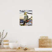 Foto Cockatielprofiel Poster (Keuken)