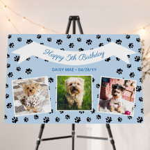 Foto: Collage Blue Black Paw Drukt Pet Birthday