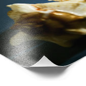 Foto Conch 3335 Afdruk (Hoek)