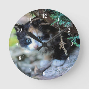 Foto Cute Calico Kitten Ronde Klok