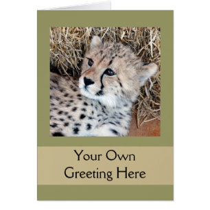 Foto Cute Cheetah Cub