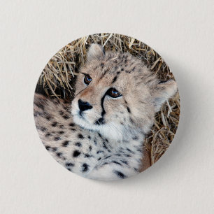 Foto Cute Cheetah Cub Ronde Button 5,7 Cm