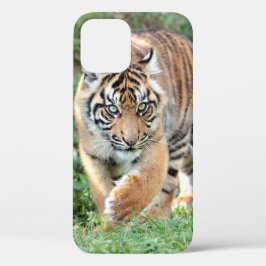 Foto , dieren , tijger , tijger . Hoesje-Mate iPho iPhone 12 Pro Hoesje