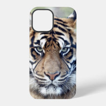 Foto , dieren , tijger , tijger . Hoesje-Mate iPho